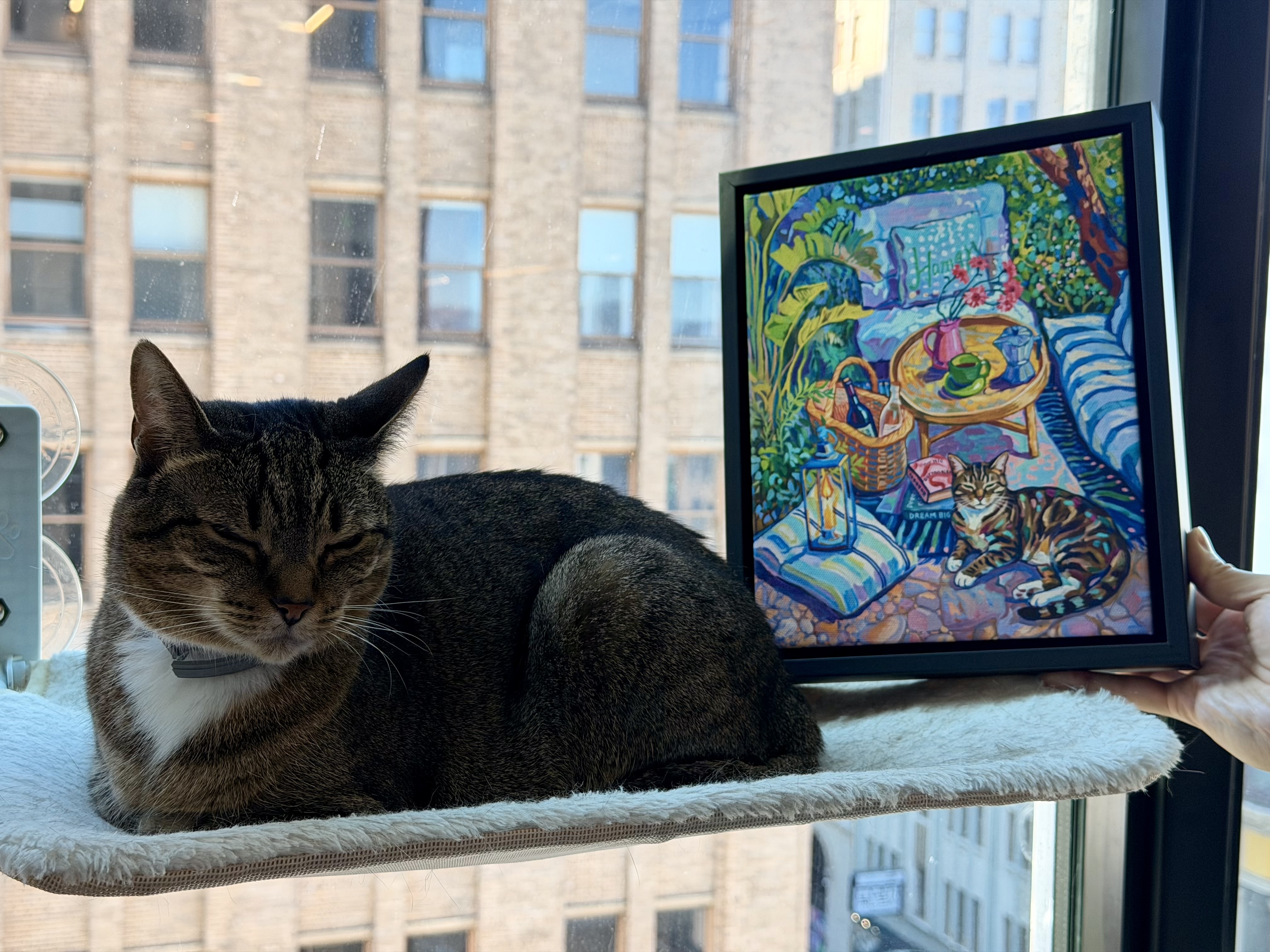 Photo from Andrew's review