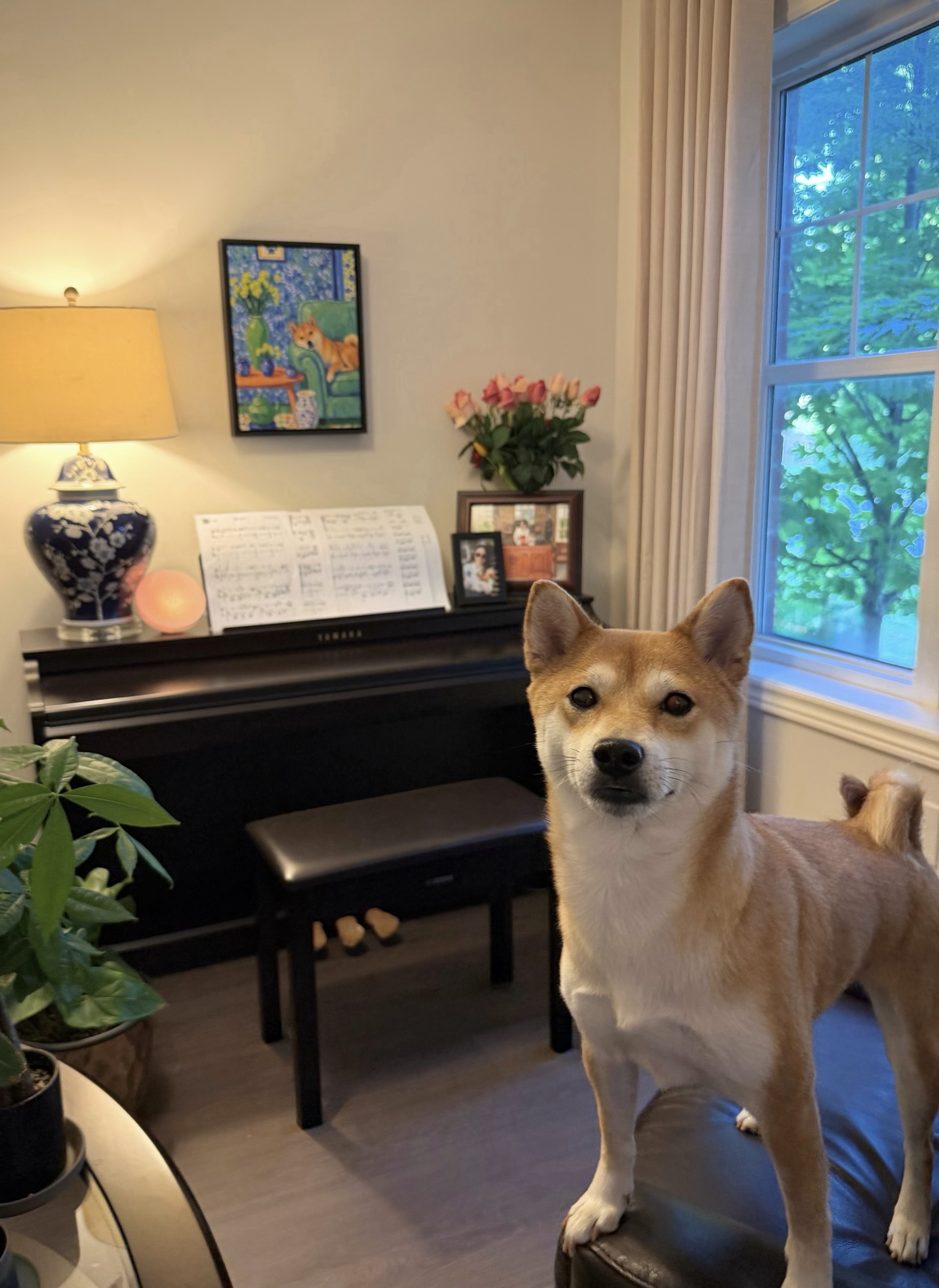 Photo from Cecilia Yang's review